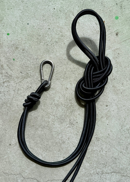 Clip and Bungee Cord